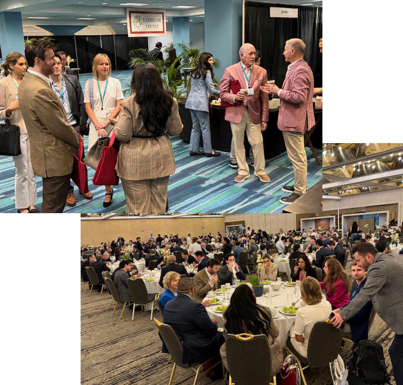 60 Years of Excellence in Aesthetic Surgery Education